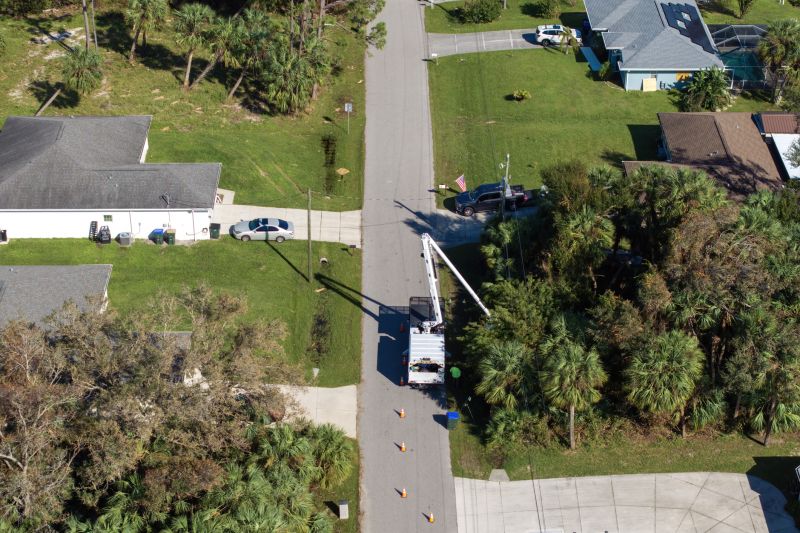 Tree Trimming Service