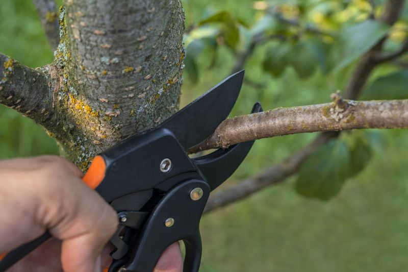 Precise Branch Removal