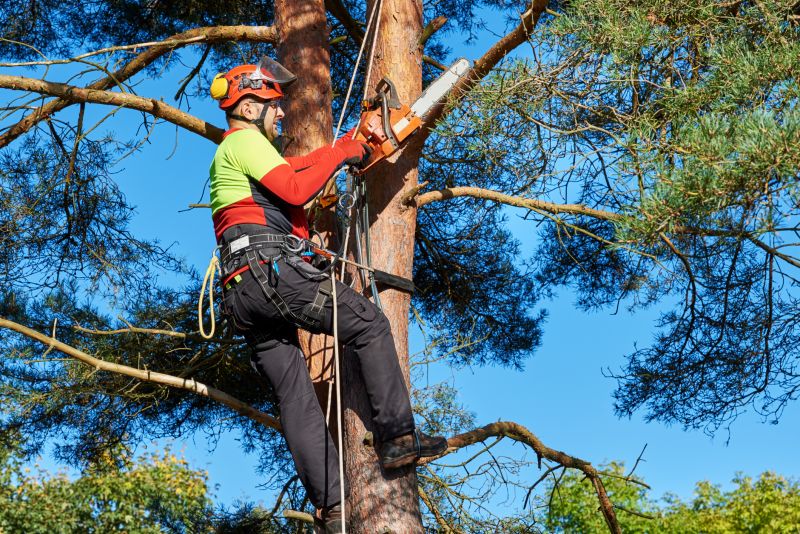 Tree Trimming Crew