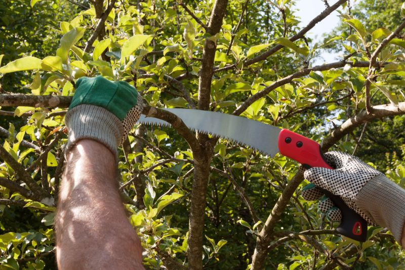 Spring Pruning